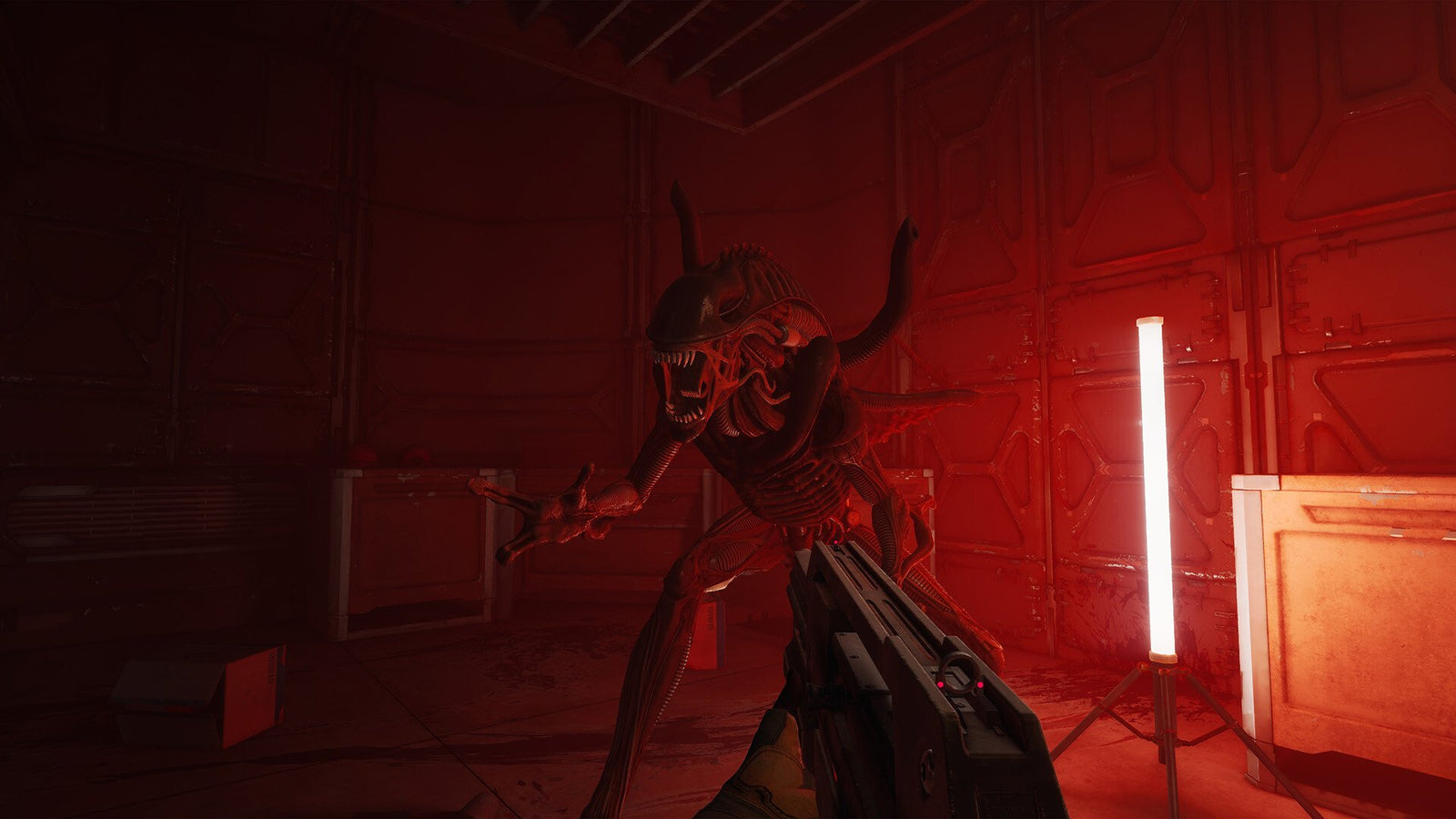 Alien: Rogue Incursion Evolved — image 2