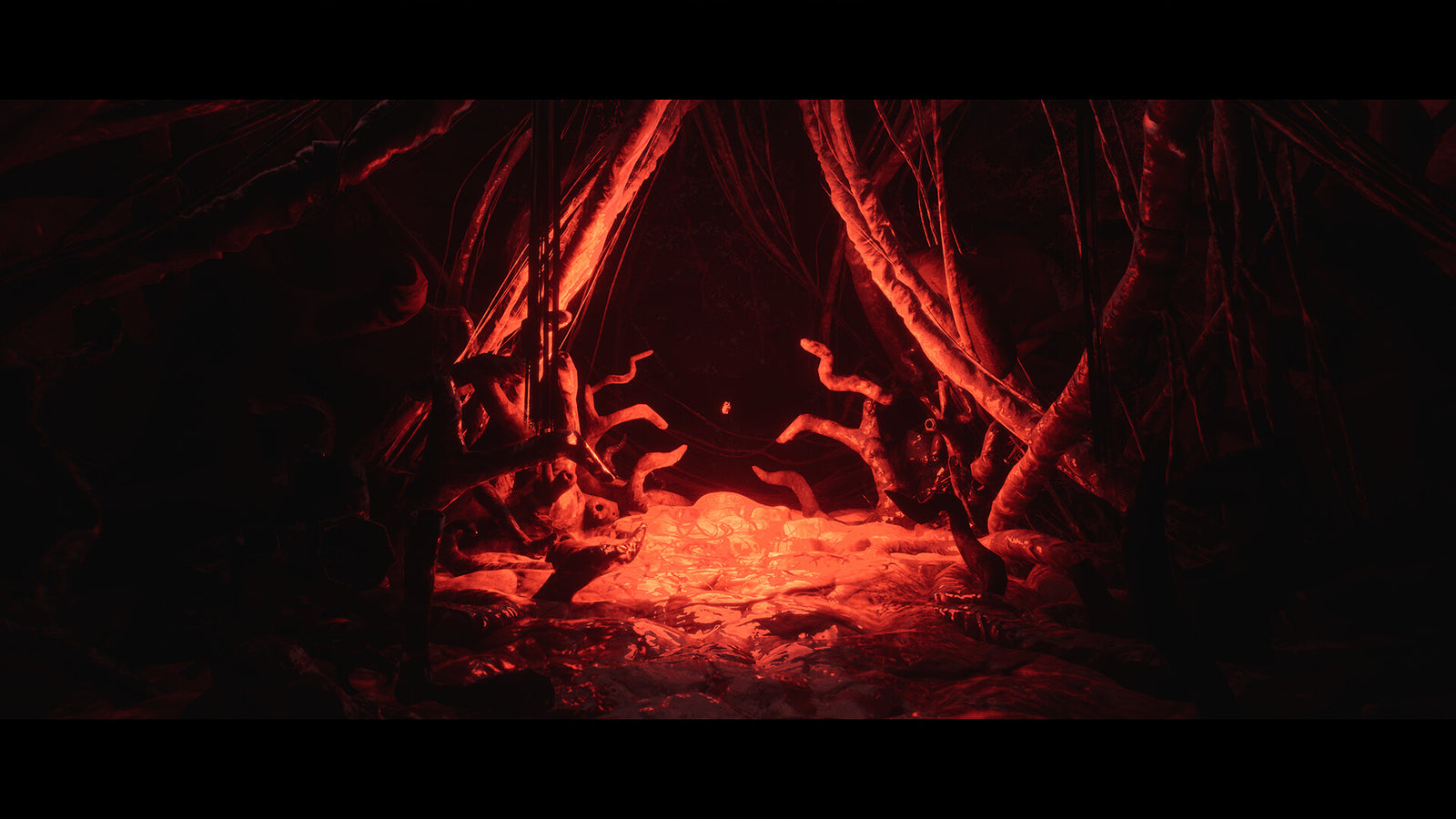 Luto — image 1