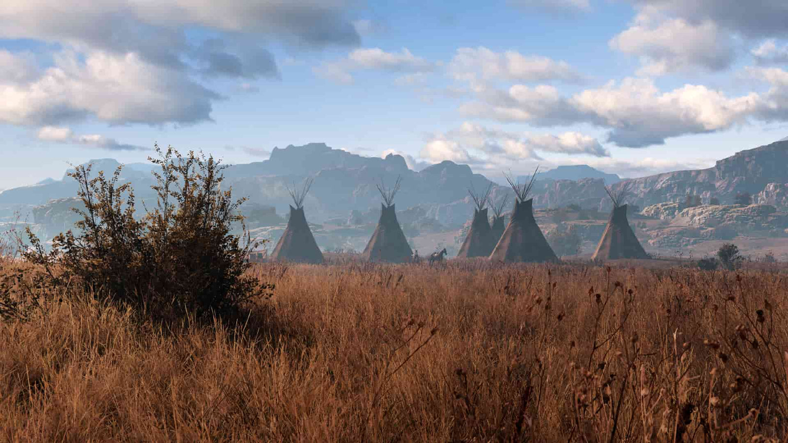 This Land Is My Land — image 2