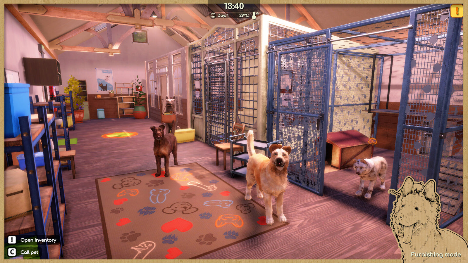 Animal Shelter 2 — image 6