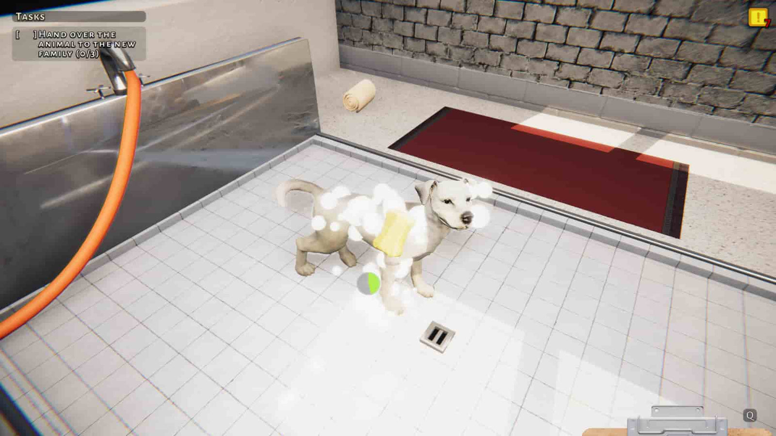 Animal Shelter — image 5