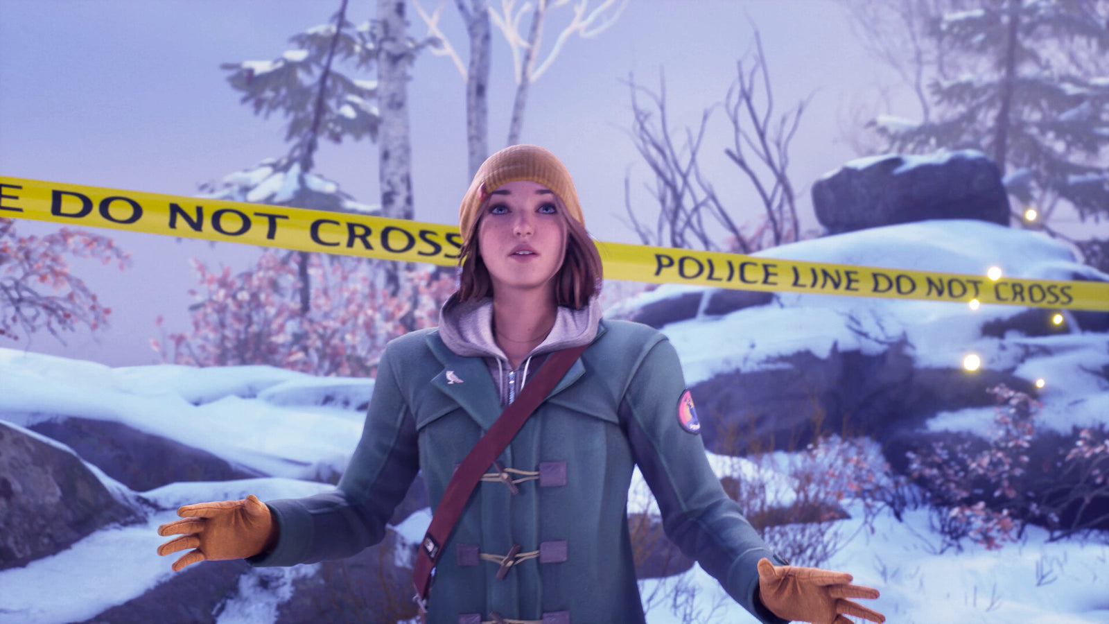 Life is Strange: Double Exposure — image 2