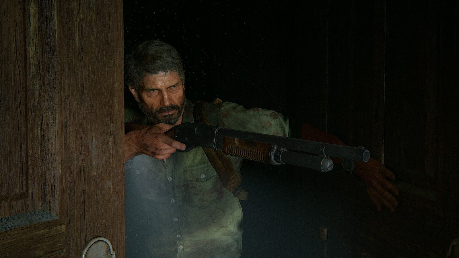 The Last of Us Part II Remastered — image 1