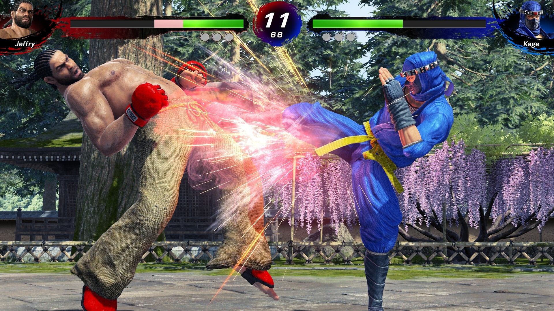 Virtua Fighter 5 R.E.V.O. 30th Anniversary