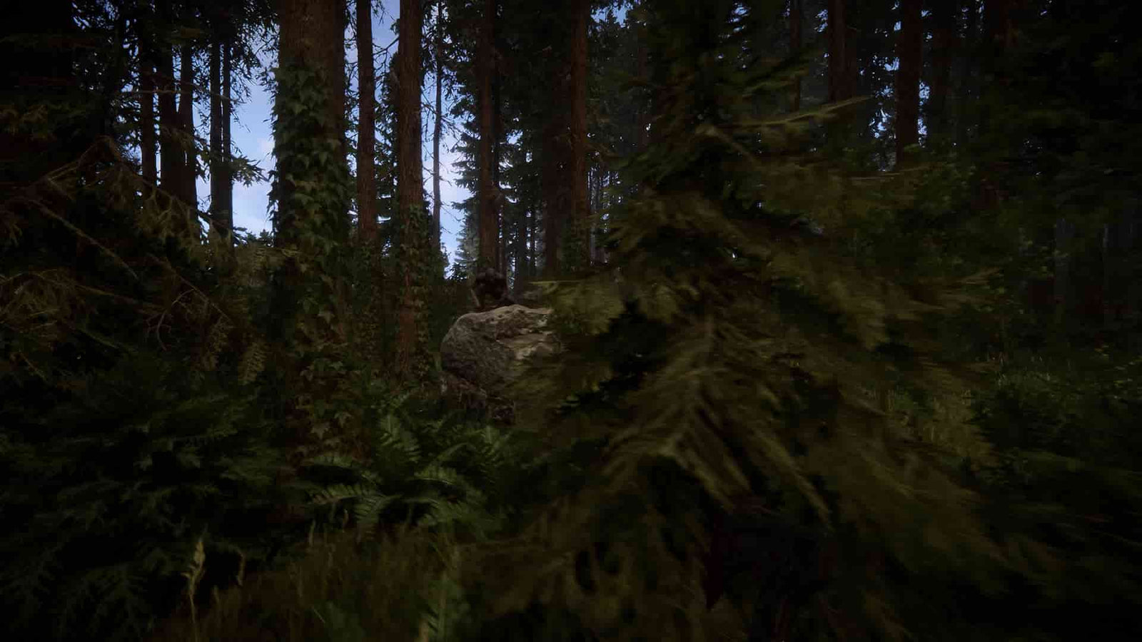 Sons Of The Forest — image 3