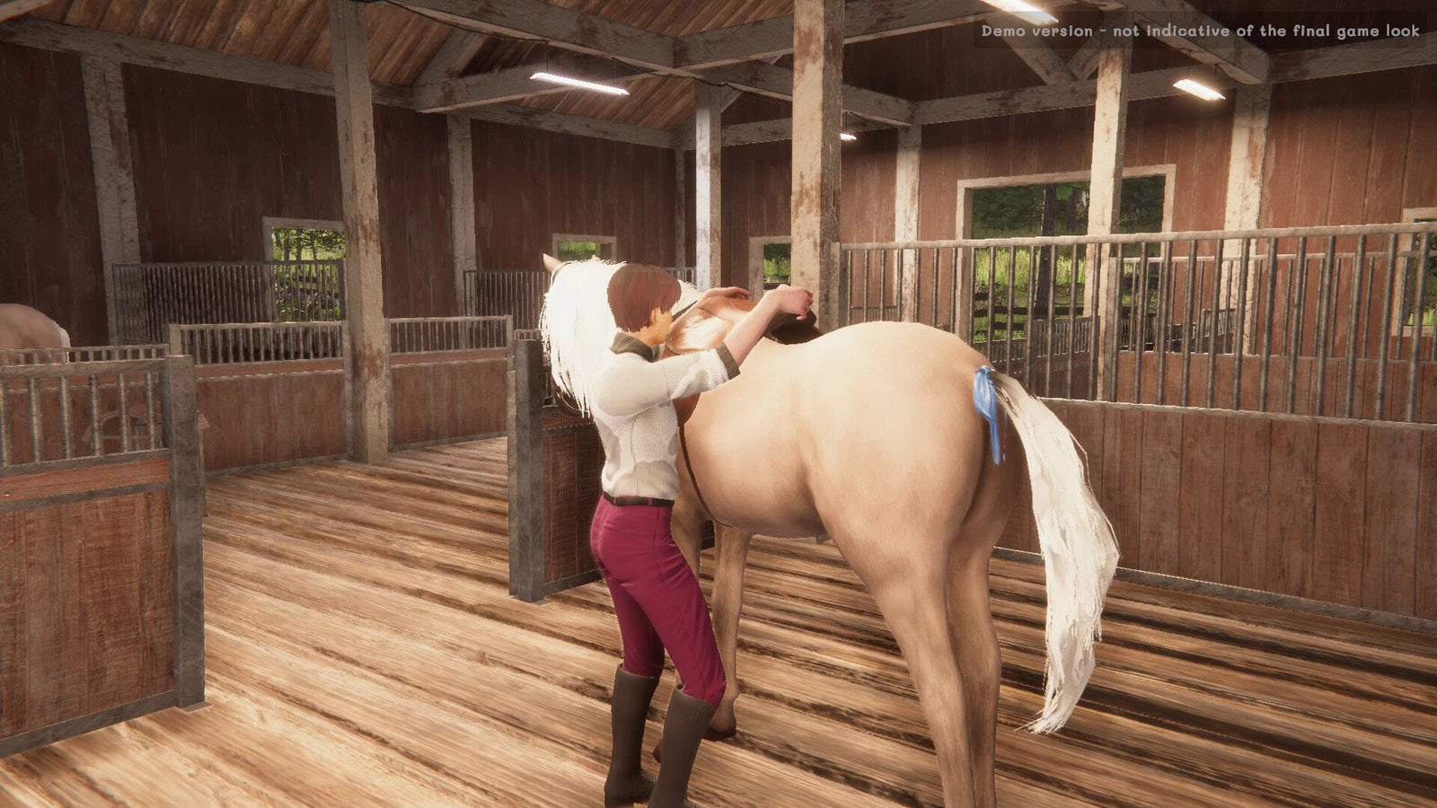My Horse: Bonded Spirits — image 5
