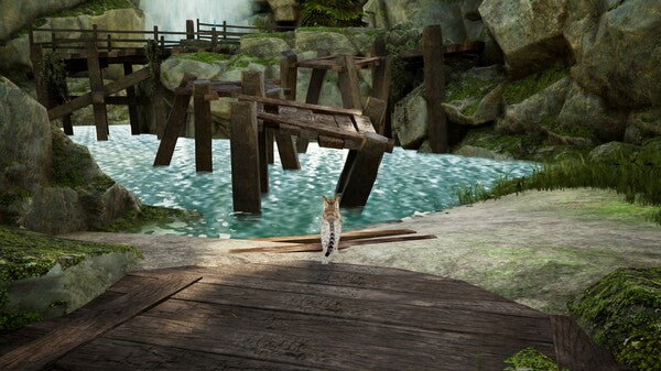 Curiosity