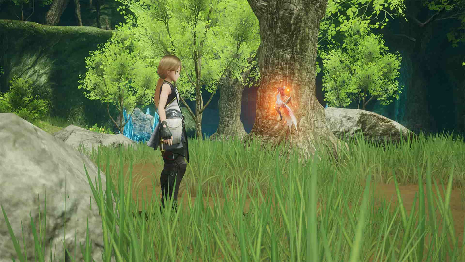 HARVESTELLA — image 3
