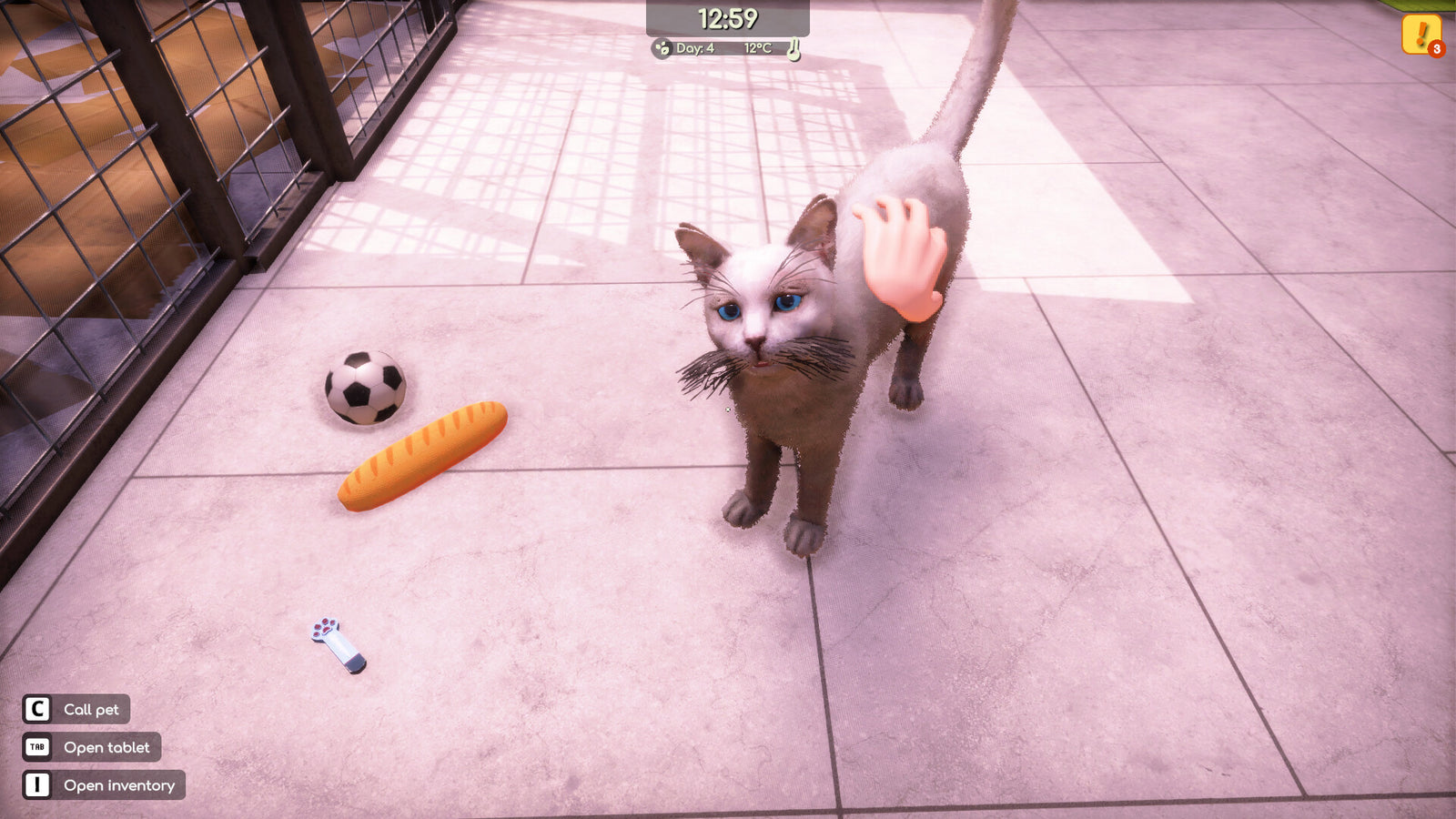 Animal Shelter 2 — image 5