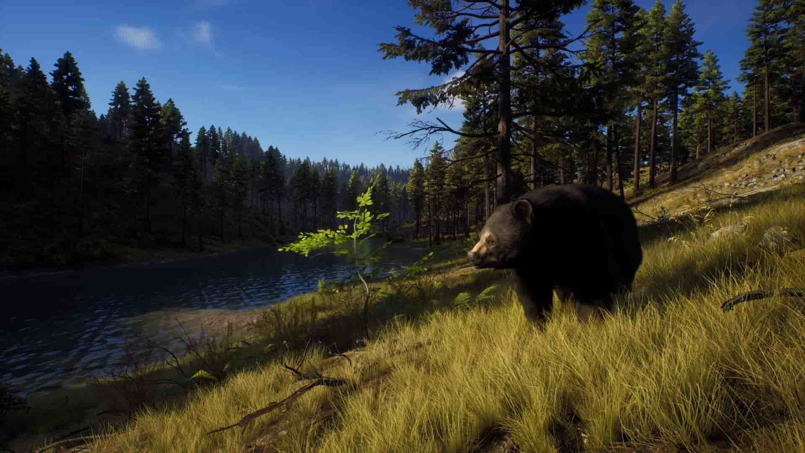 Way of the Hunter — image 4