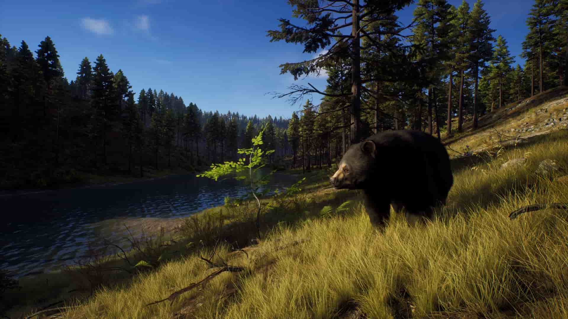 Way of the Hunter: Elite