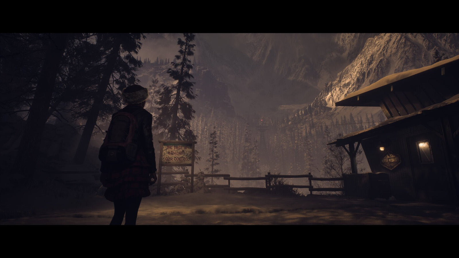 Until Dawn — image 2