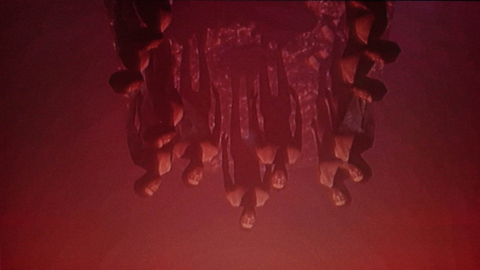 The Fridge is Red — image 4