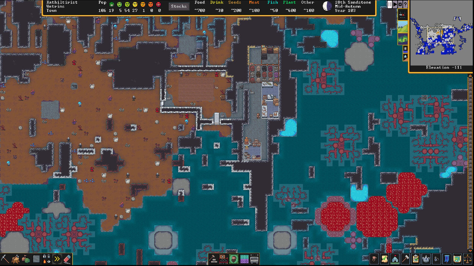 Dwarf Fortress — image 2