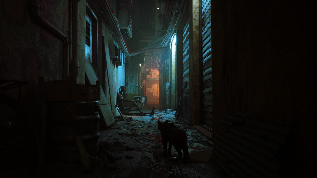 Stray — image 1