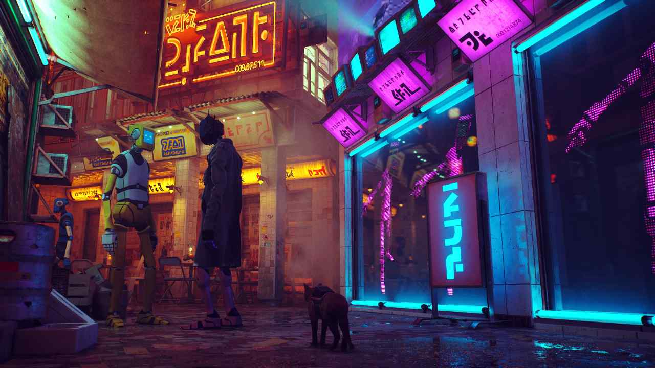 Stray — image 2