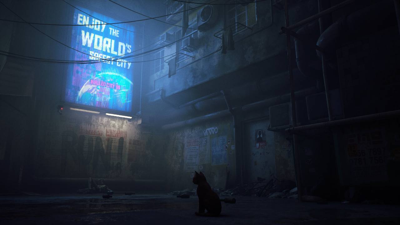 Stray — image 4