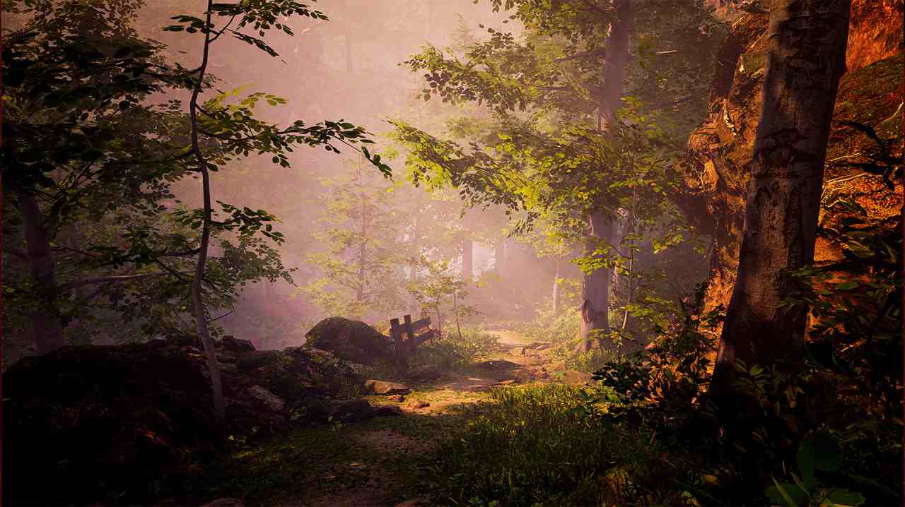 The Fabled Woods — image 2