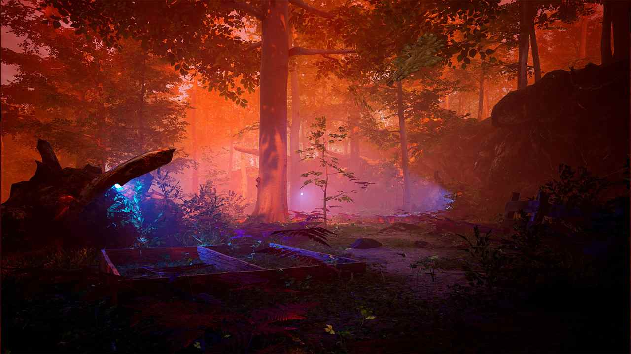 The Fabled Woods — image 5