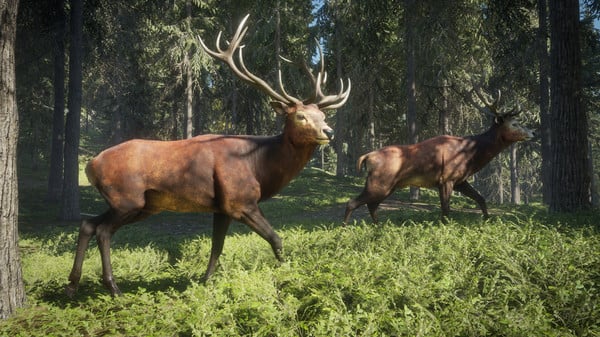 theHunter: Call of the Wild — image 4