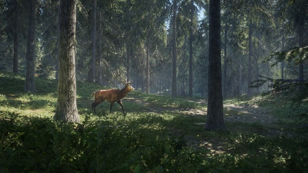 theHunter: Call of the Wild — image 2