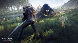 The Witcher 3: Wild Hunt — image 3