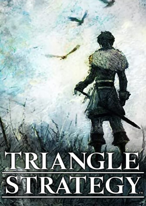 TRIANGLE STRATEGY — image 6